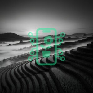 Misty Sunrise Over Terraced Rice Fields