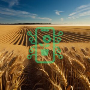 Golden Wheat Field Under a Clear Blue Sky