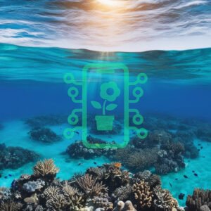 Sunlit Coral Reef Under the Crystal Blue Ocean